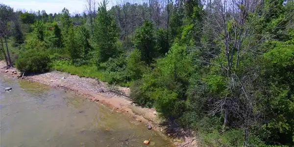 TBD Sunshine Trail