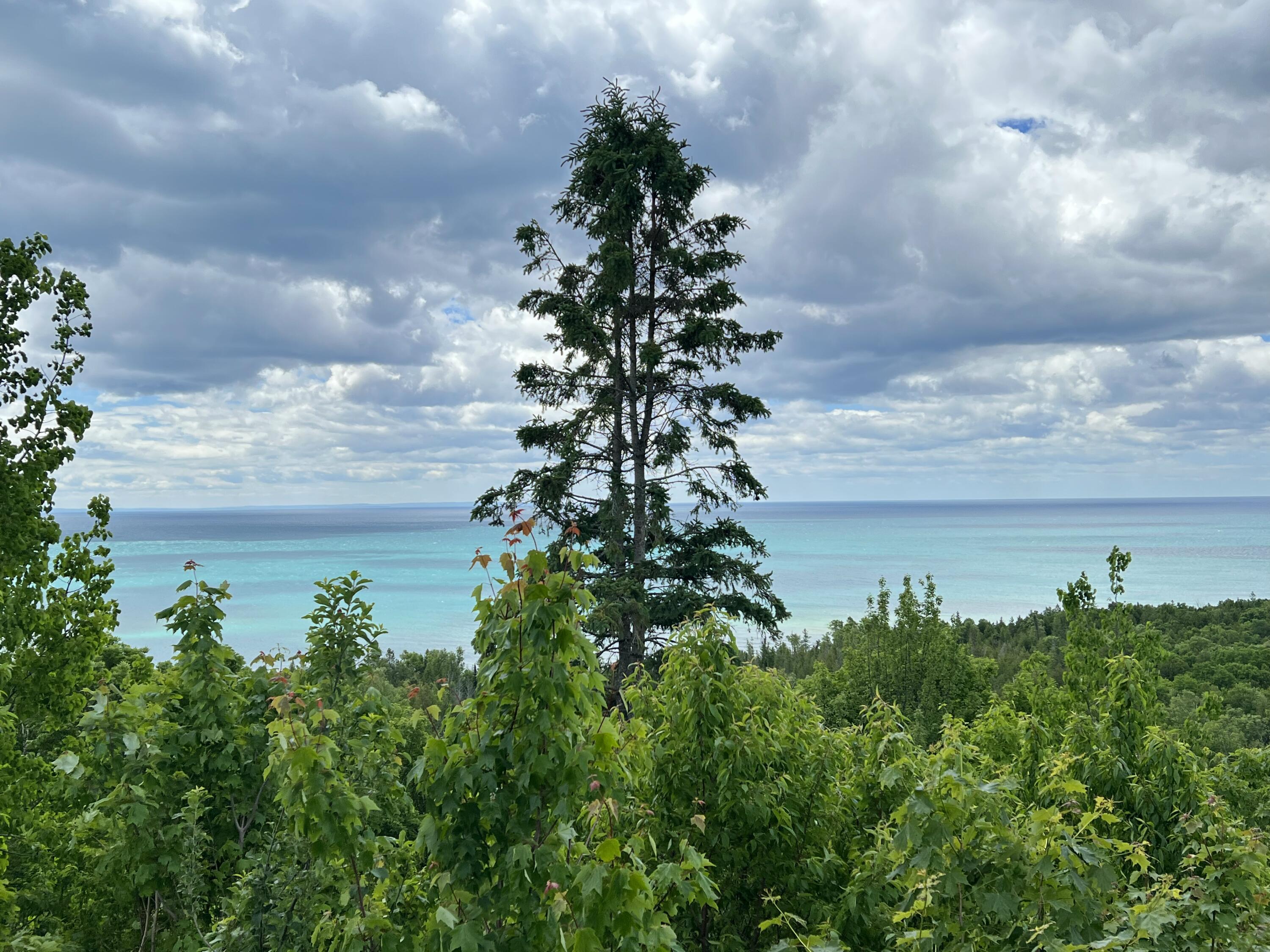 Image 1: Overlooking Lake Michigan