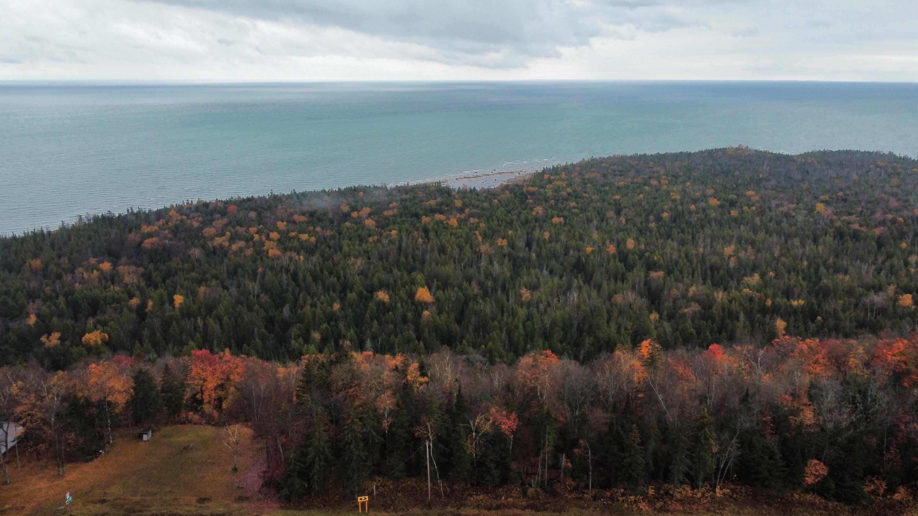 Image 2: dji_fly_20241025_102730_337_173213311722