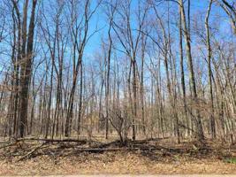 LOT 19 Kingsley Drive