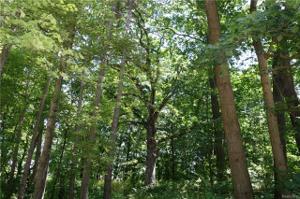 Lot 19 Devins Ridge