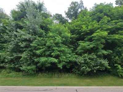 Lot 36 - Pinemont