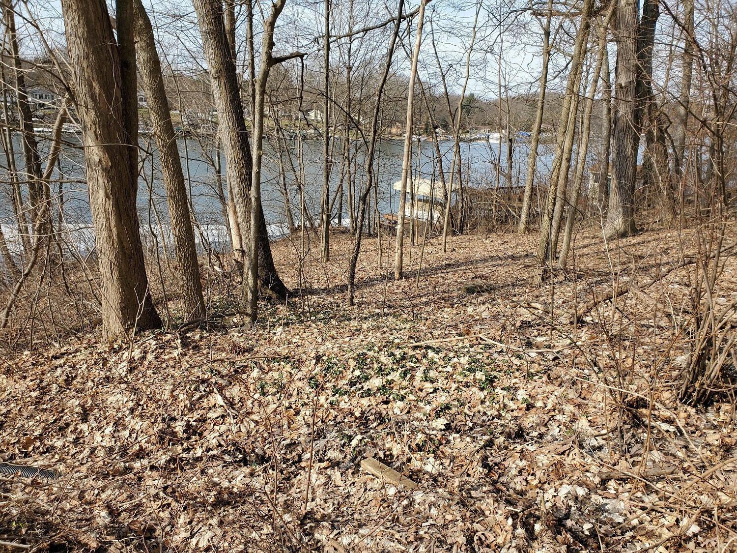 Image 4: 5