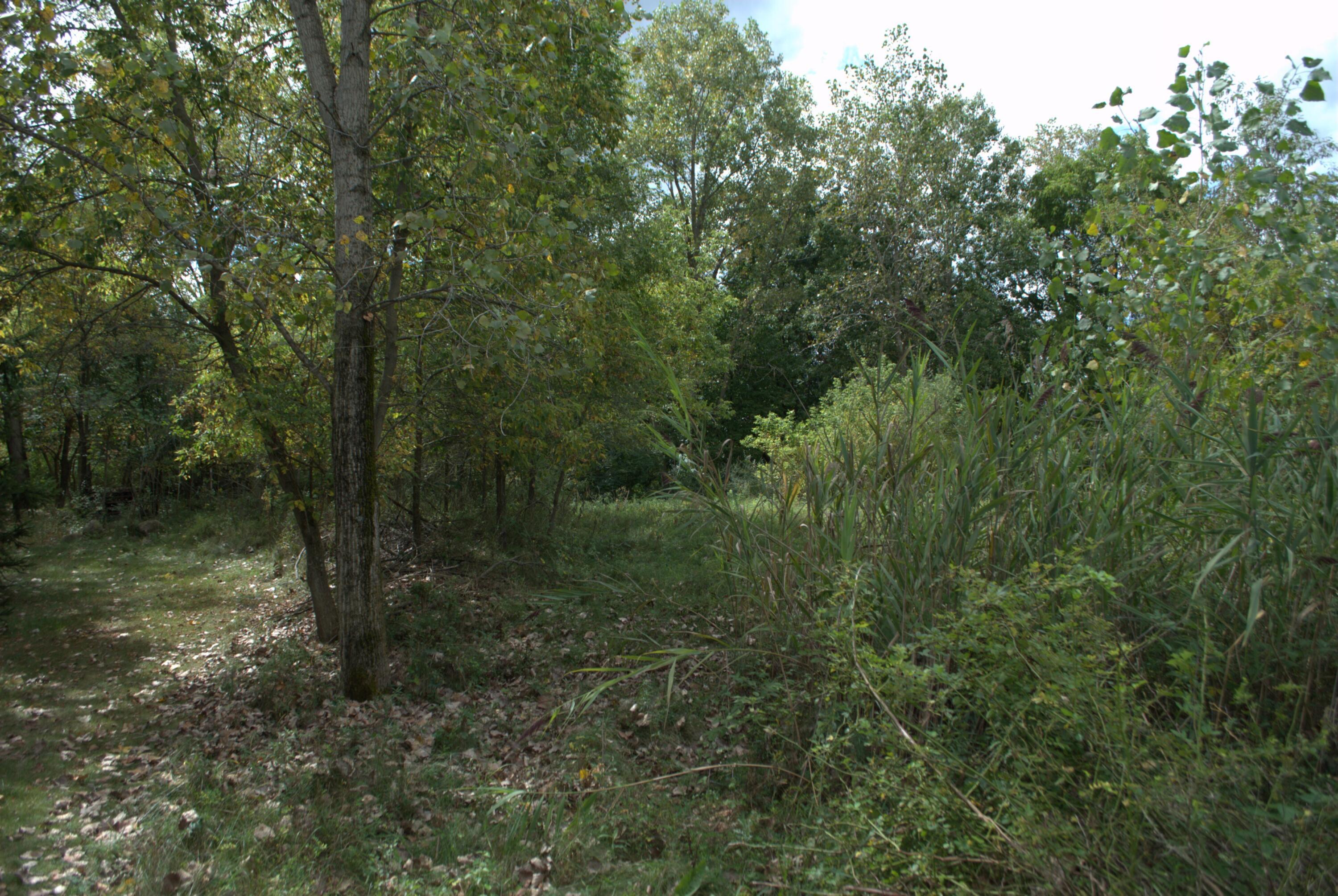 Image 2: DSC_0649