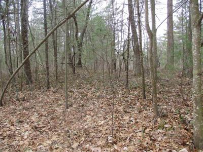 00 Ausable Point