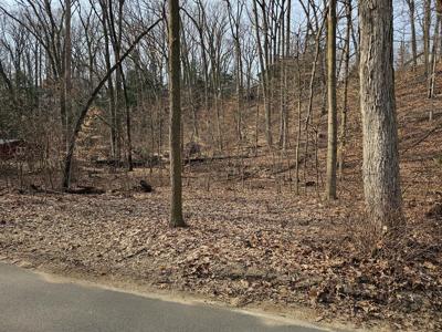 Dunewood Drive