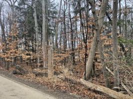 00 HEMLOCK (LOT'S 36 & 37)