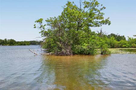 VAC Island on Pontiac Lake