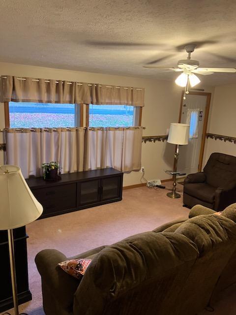 Image 3: m living
