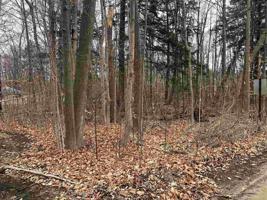 00 HEMLOCK, (LOT'S 38 & 39)