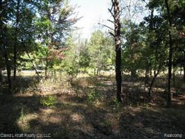 9797 Whispering Pines