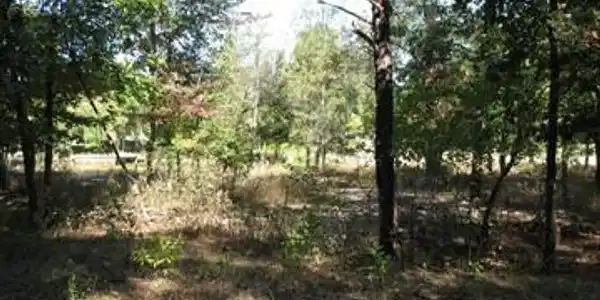 9797 Whispering Pines