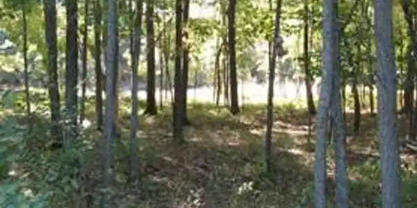 9749 Lost Channel Dr