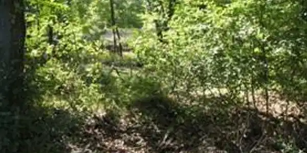 9769 Lost Channel Dr