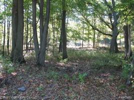 9775 Lost Channel Dr