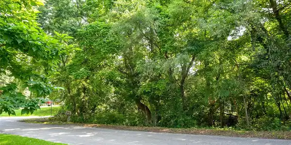 00 Pine Tree Road