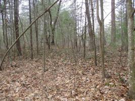00 Ausable Point Road