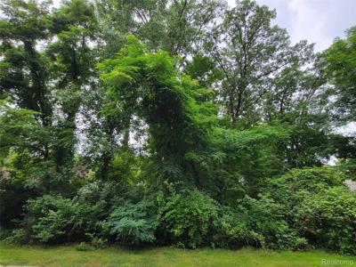 Lot 41 - Pinemont