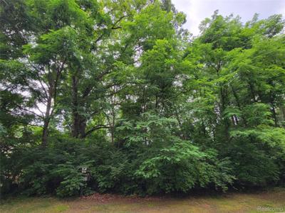 Lot 43 - Pinemont
