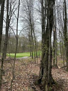 Lot 46 Creekside