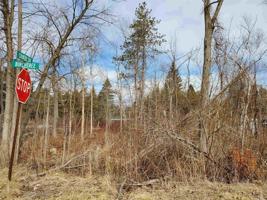 VL Birch Tree Road