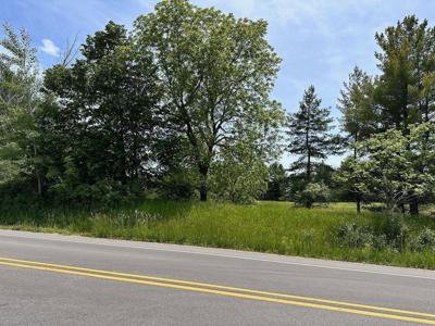 Lot 8 Schoolcraft Road