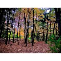 0 Stone Bridge Trail
