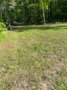 1255 Owosso