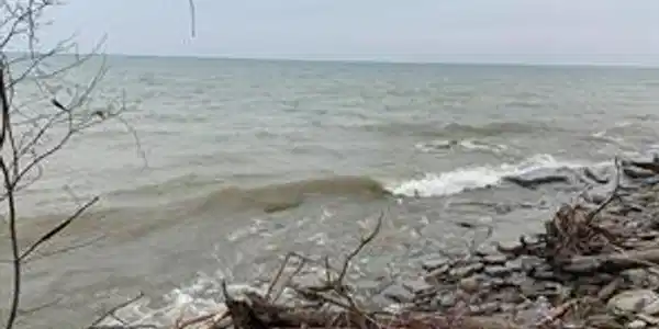 **** S. Lakeshore
