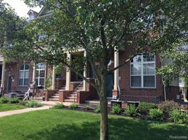 446 Old Pine Way