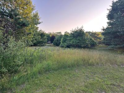 Lot 81 of Orchard Hills