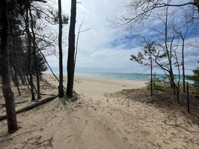 Lakeshore Road