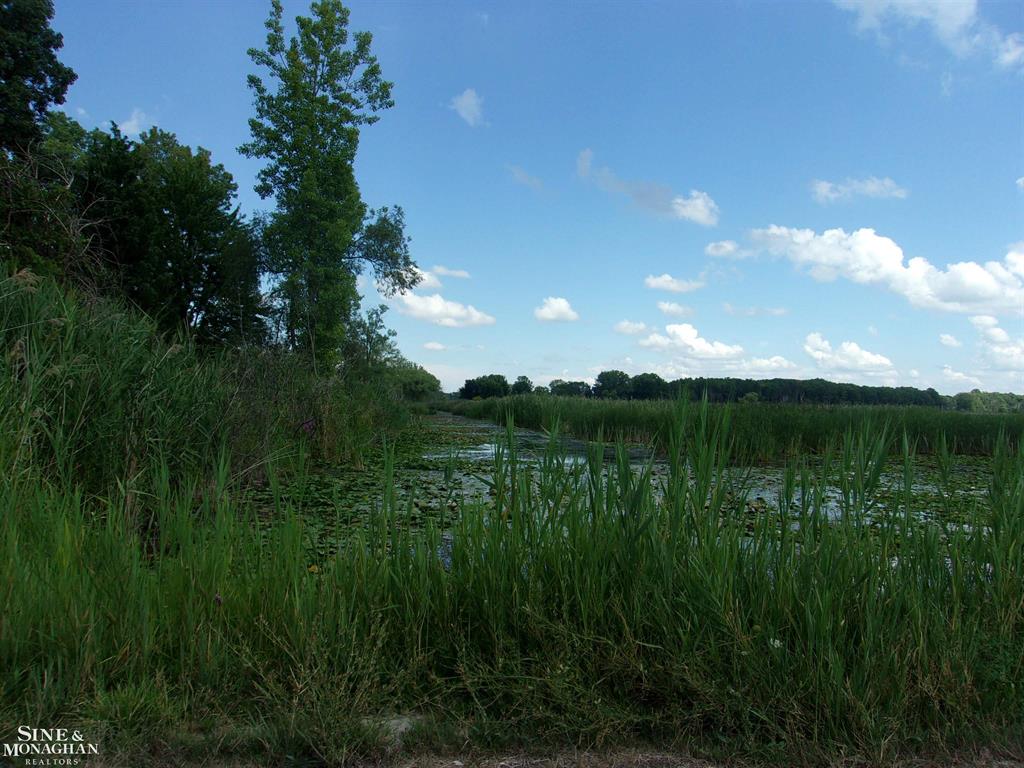 Image 4: 50087714-3.JPG