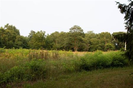 0 Pheasant Pointe Drive