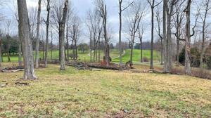 4802 Knoll Court
