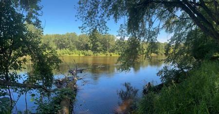 17315 Old Logging Road