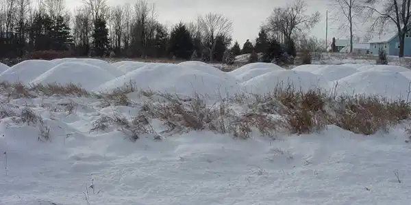 Kirkley Drive