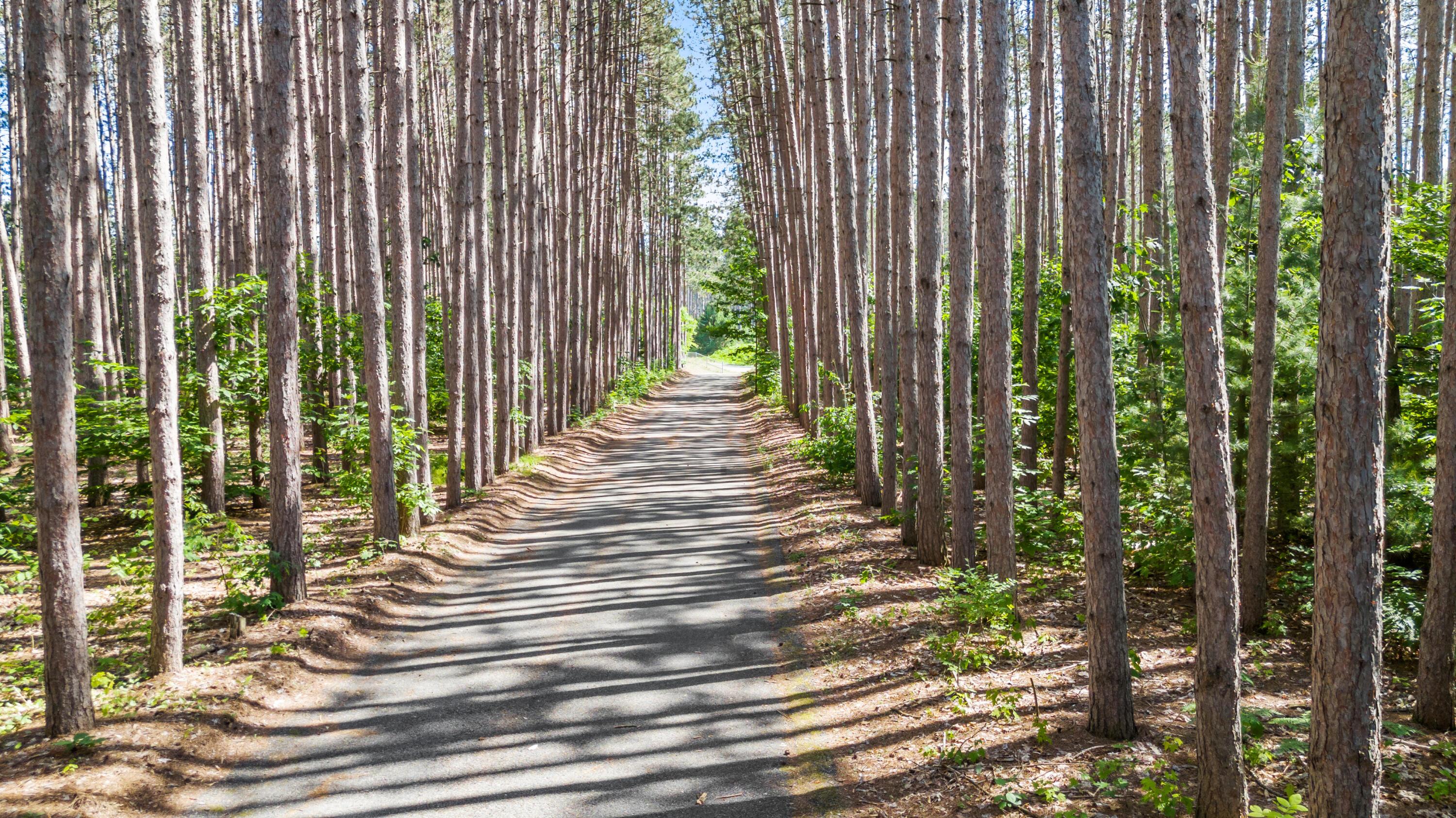 Image 3: DJI_20250702162906_0954_D