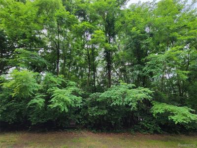 Lot 44 - Pinemont