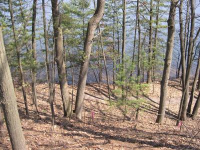 1597 Edgewater Ridge