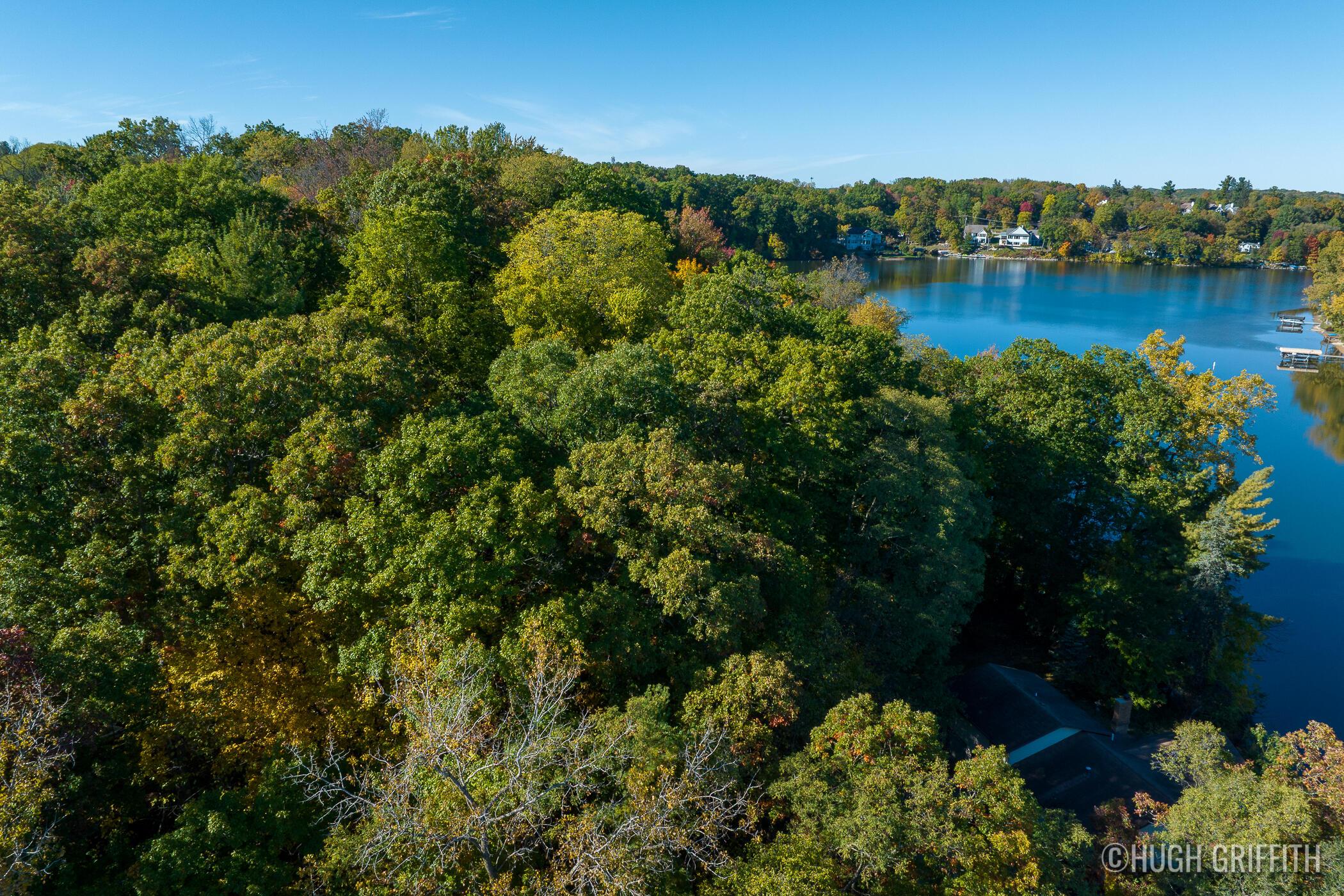 Image 4: 6811 Burger_2