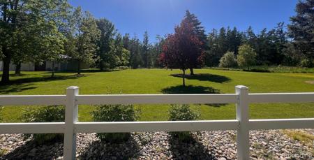 Shoreline Drive