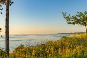 400 Dunegrass Ridge Drive
