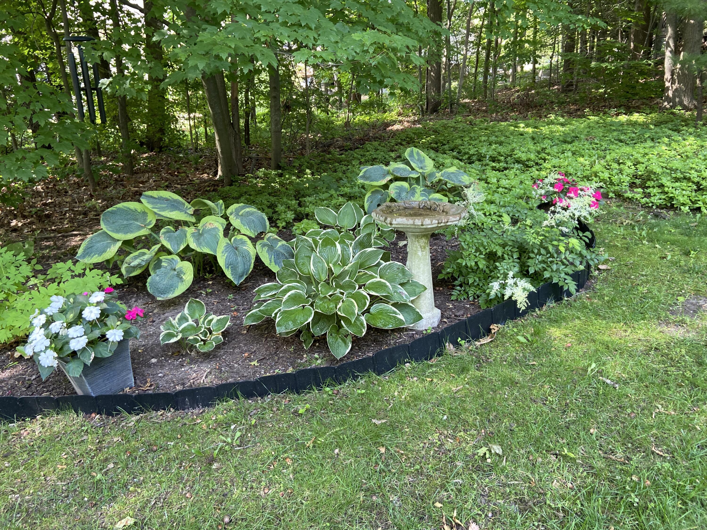 Image 4: 630598E3-BEBD-425E-85DC-BFAADE83F235-IMG