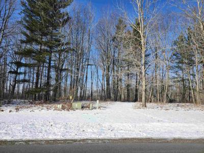 Lots 4, 5, & 6 Huron Woods Drive