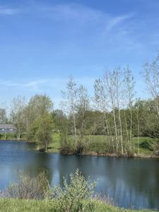 VL Turtle Lake Road