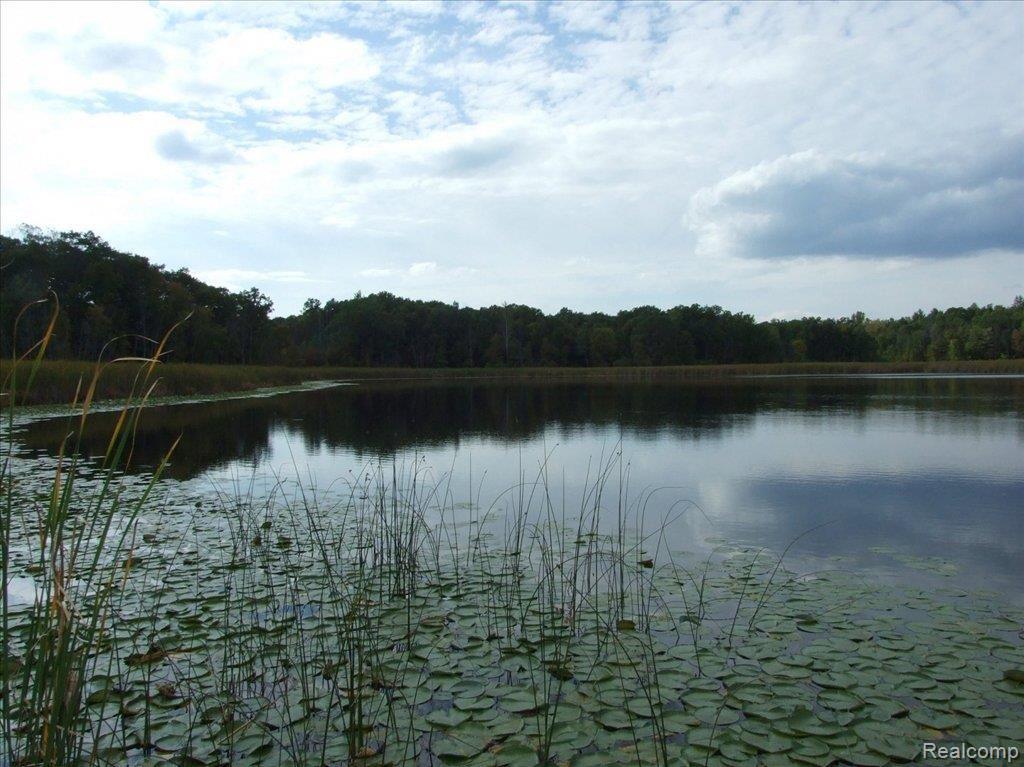 Image 4: Lake