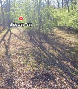 00000 Blue Jay Way Lane