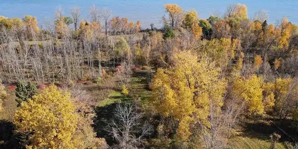 Vacant Land N LAKESHORE Road