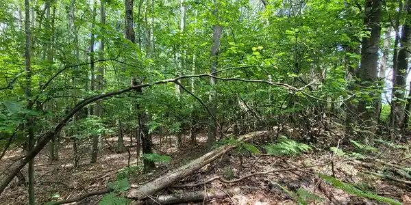 0 N Silver Ridge Road